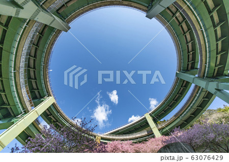 桜咲く河津七滝ループ橋(七滝高架橋)を見上げる 桜咲く河津七滝ループ橋(七滝高架橋)を見上げる 63076429