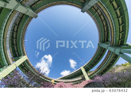 桜咲く河津七滝ループ橋（七滝高架橋）を見上げる 63076432