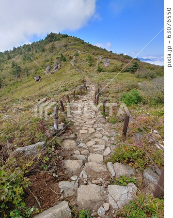 森林 山 崖 63076550
