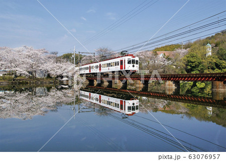 桜満開の和歌山電鉄貴志川線 63076957