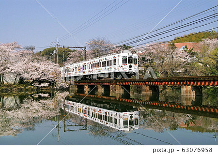 桜満開の和歌山電鉄貴志川線 63076958