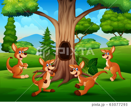 A group of kangaroos playing under the tree 63077293