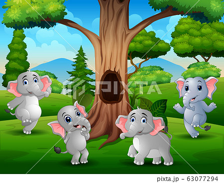 A group of elephant playing under the hollow tree landscape A group of elephant playing under the hollow tree landscape 63077294