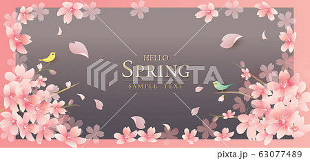 春 さくら 桜 ベクターイラストのイラスト素材