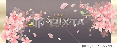 春　さくら　桜　ベクターイラスト 63077491