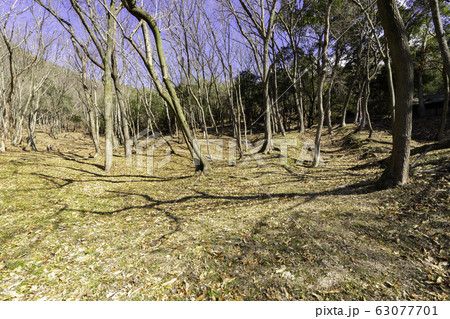 国指定史跡 伊部北大窯跡 備前焼本通り 岡山県備前市 国指定史跡 伊部北大窯跡 備前焼本通り 岡山県備前市 63077701