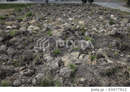 冬の間の土作り、寒起こし 冬の間の土作り、寒起こし 63077912