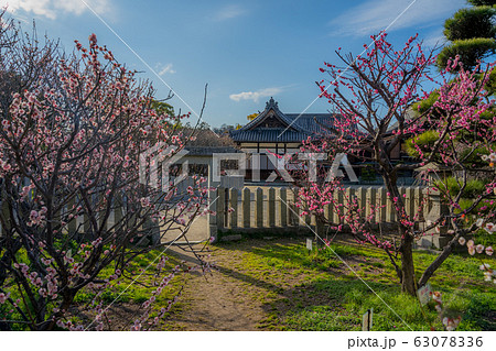 曽根天満宮 63078336