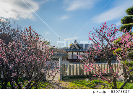 曽根天満宮 63078337