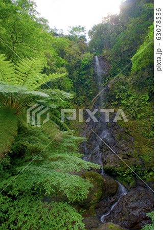 嘉入の滝 (奄美群島 加計呂麻島) 63078536