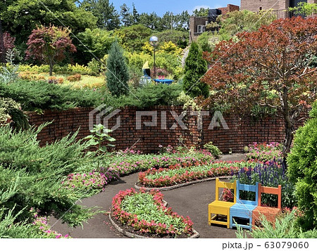 花 風景 木 63079060
