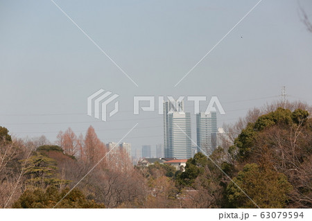 三ツ池公園の丘から見える武蔵小杉の街並み 三ツ池公園の丘から見える武蔵小杉の街並み 63079594