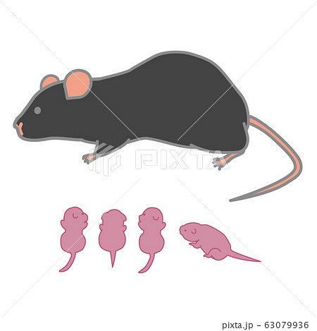 授乳中の黒マウス 個別版のイラスト素材