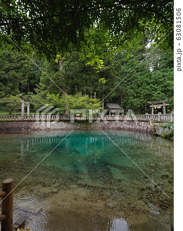 別府弁天池 別府弁天池 63081506