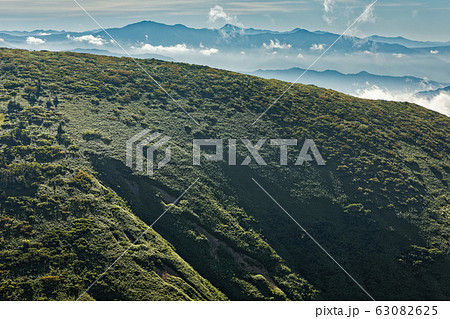 巻機山の稜線越しに見る至仏山と日光白根山 63082625