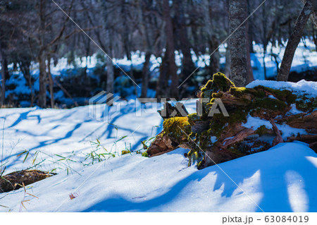 雪の登山道 雪の登山道 63084019