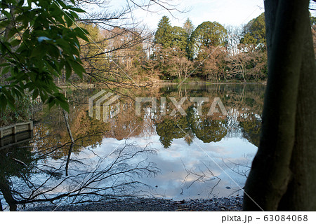 三宝寺池 三宝寺池 63084068
