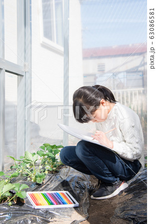 写生する小学生の女の子 63086581