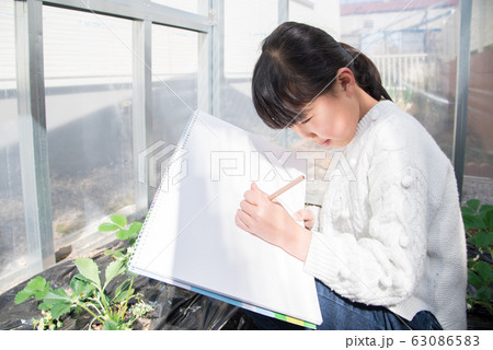 写生する小学生の女の子 写生する小学生の女の子 63086583
