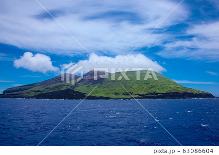 鳥島　無人島　伊豆諸島　小笠原　クルーズ　天然記念物 63086604