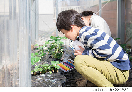 写生する小学生の子供 63086924