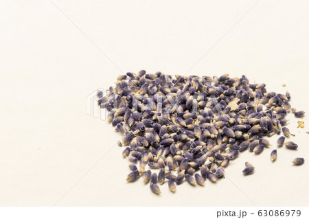 【富良野　ラベンダー　イメージ】 63086979