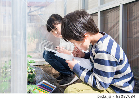写生する