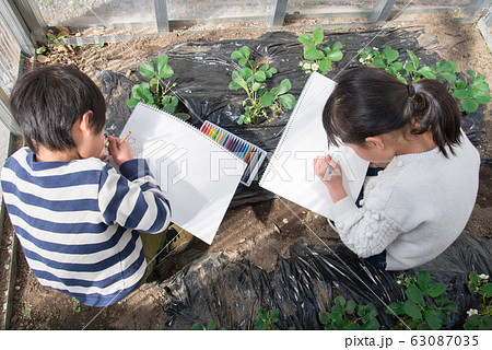 写生する小学生の子供 63087035