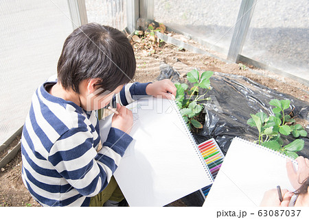 写生する小学生の男の子 63087037