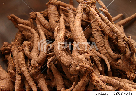 桔梗根07 63087048