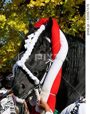 妙見祭の黒い飾り馬　（熊本県八代市） 63087376