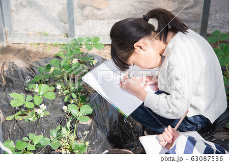 写生する小学生の女の子 63087536