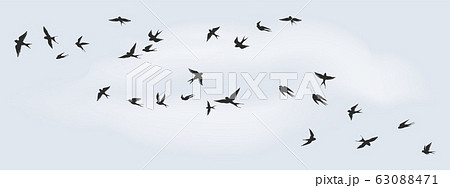 Flying birds silhouette. Flock of black marine birds, doves, seagulls or swallows isolated on white background. Vector freedom concept 63088471