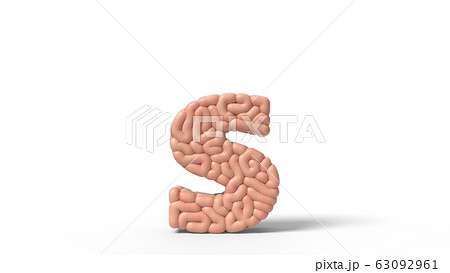 human brain in shape of letter s. 3D illustration 63092961