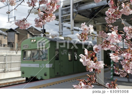 桜と103系 桜と103系 63095008