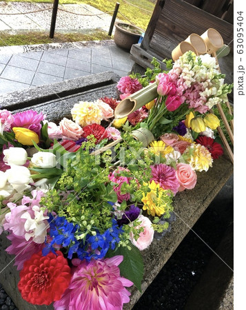 勝林寺の花手水 63095404