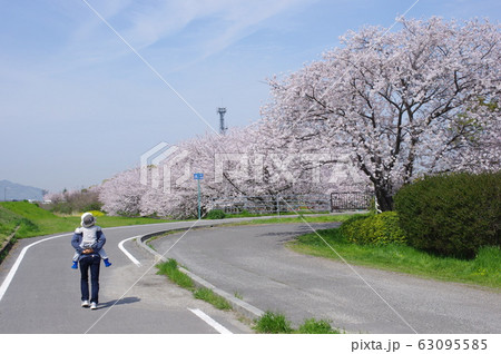孫と春の散歩 -愛媛県東温市にて- 63095585