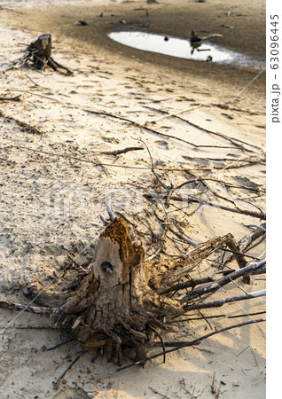 黄海 風景 タイル 63096445