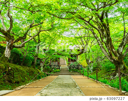 春の京都　常寂光寺 63097227