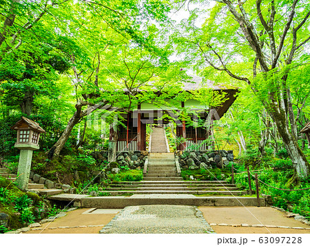 春の京都　常寂光寺 63097228