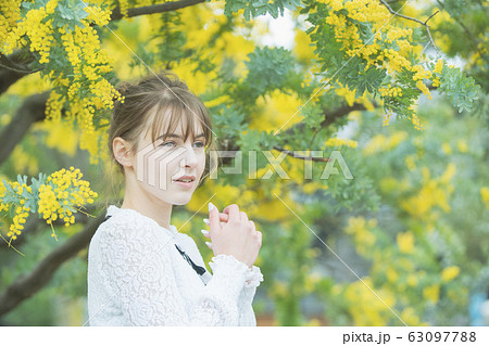 ミモザを鑑賞する女性 63097788