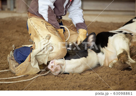 Cowboy lassoing cow 63098861