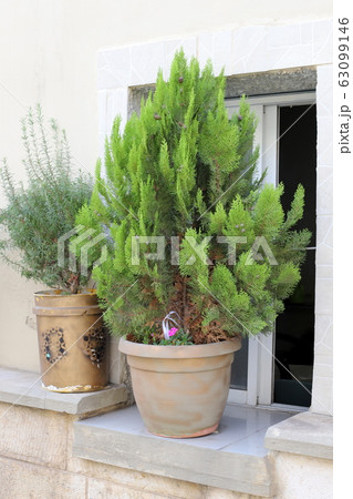 Window - an aperture in the wall, which serves for the entry of light into the room and ventilation. Window - an aperture in the wall, which serves for the entry of light into the room and ventilation. 63099146