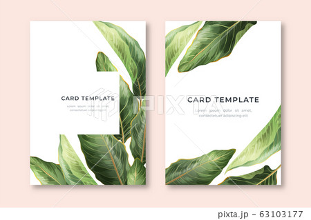 Palm Leaves Card template 63103177