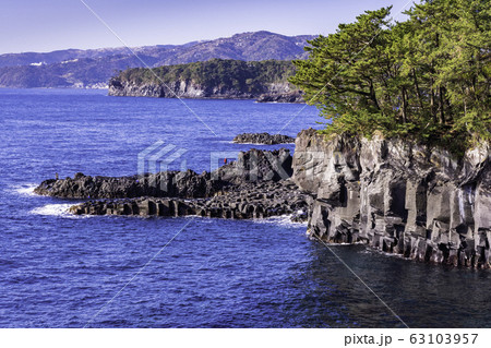 静岡県 東伊豆 城ヶ崎海岸 大淀小淀の海岸線の写真素材