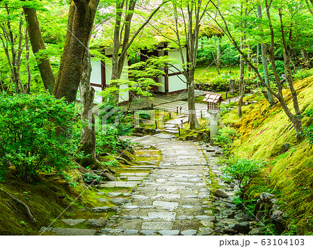 春の京都 常寂光寺 春の京都 常寂光寺 63104103