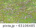 モネの池 63106485