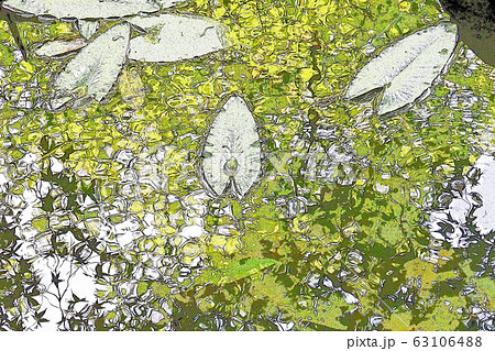 モネの池 モネの池 63106488