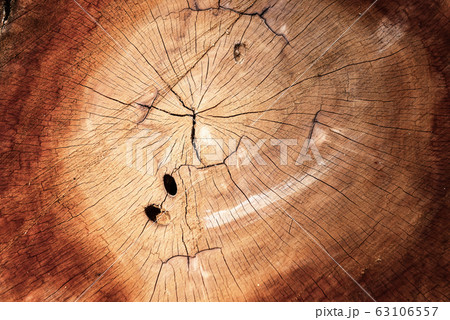 Wooden Cross Section and Texture Background Wooden Cross Section and Texture Background 63106557