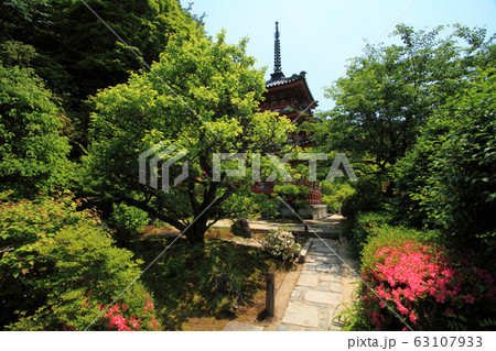 春の宇治市三室戸寺 63107933